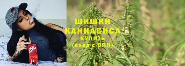 крисы Верея
