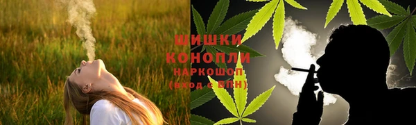 крисы Верея
