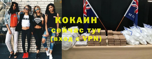 крисы Верея