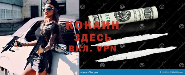 бошки Верхний Тагил